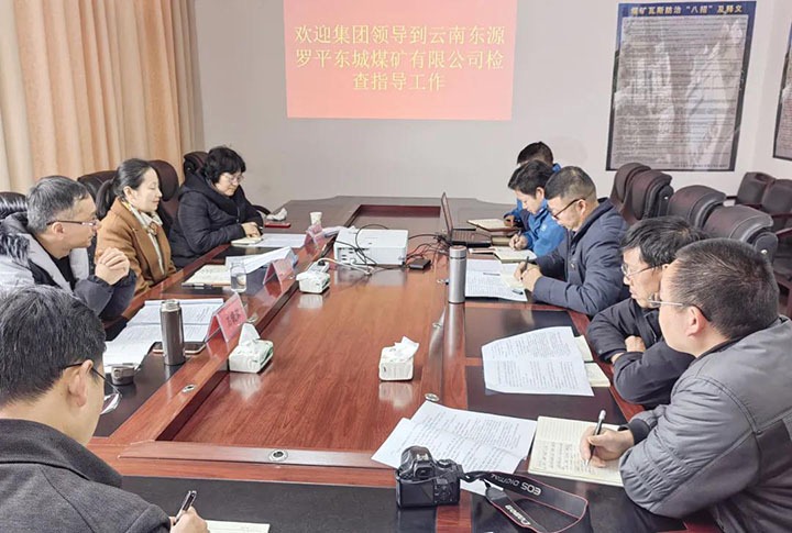 集团党委委员、财政总监莫晓丹一行赴罗平东城公司督导调研