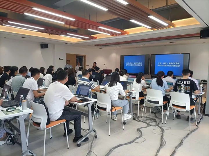 【聚焦云煤】云煤（yl6809永利）集团进行OA系统操作培训暨深入利用推动会