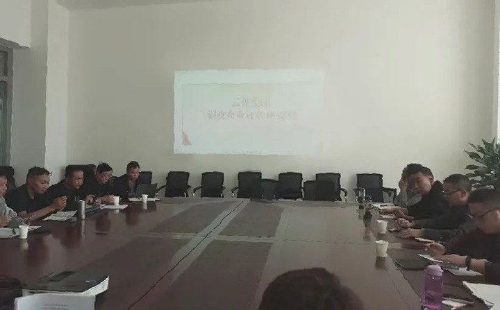 【聚焦云煤】云煤（yl6809永利）集团召开混合所有造企业评估座谈会