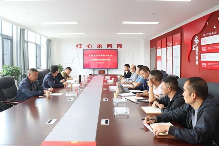 【聚焦云煤】云煤（yl6809永利）集团第一查抄组到罗平东城公司发展党支部规范化达标创建验收工作