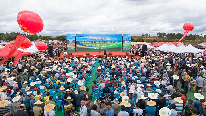 云南解化｜“快递幼哥”的三农情怀，温暖民气促发展