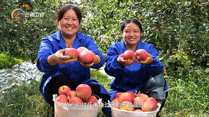 《云南卫视》播报：云煤集团解化好肥助力“三农”发展，共绘村落振兴“幸；怼