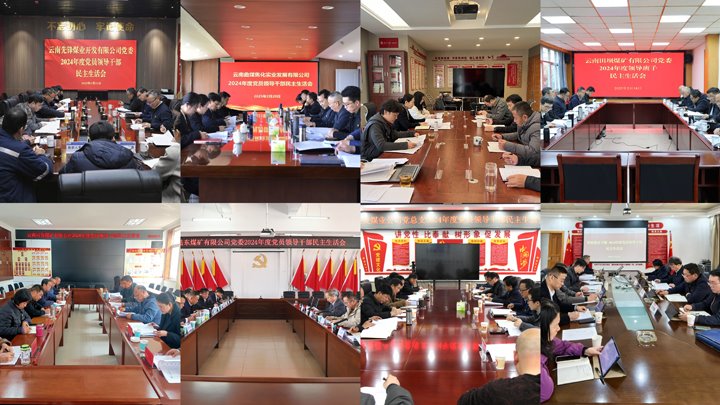 查问题 抓整改 促发展｜集团党委高质量实现2024年度民主生涯会督导工作